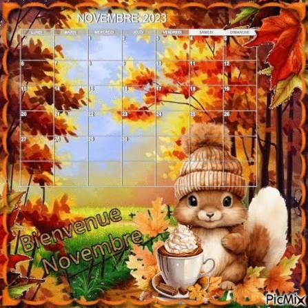 novembbre0